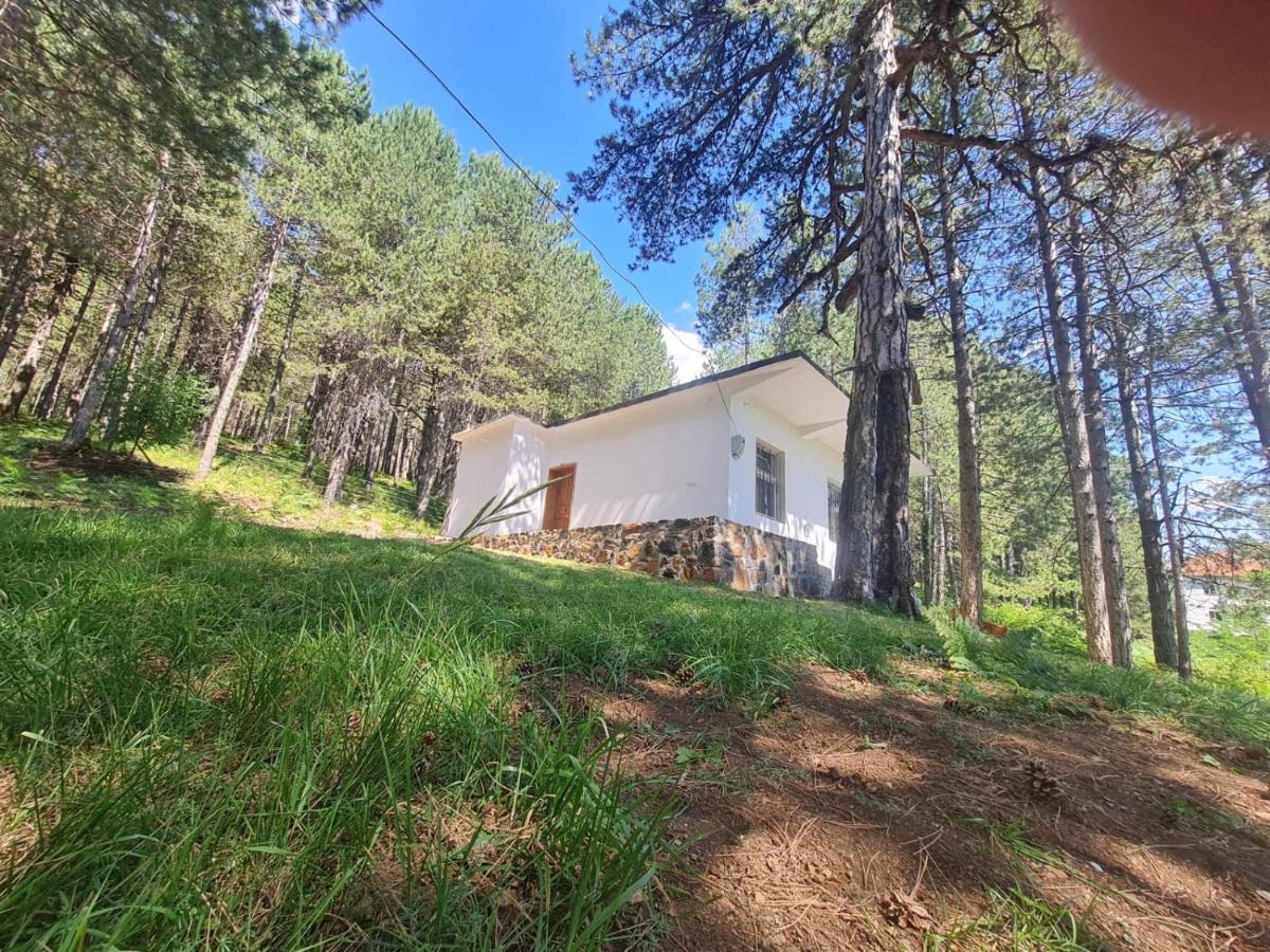 Villa Bujtinat Skenderi Gjinar 2 Exterior foto