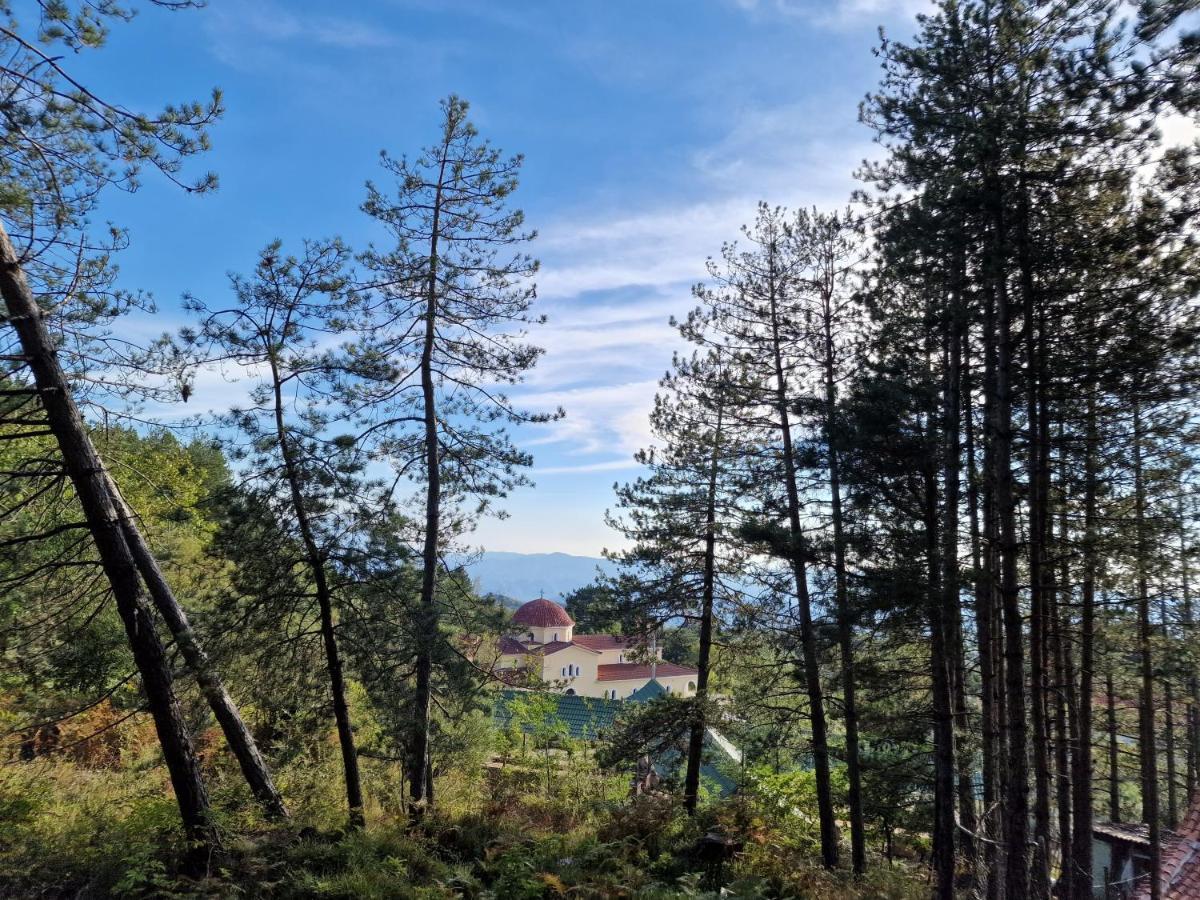 Villa Bujtinat Skenderi Gjinar 2 Exterior foto