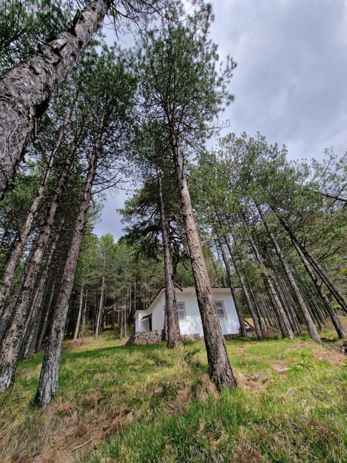 Villa Bujtinat Skenderi Gjinar 2 Exterior foto