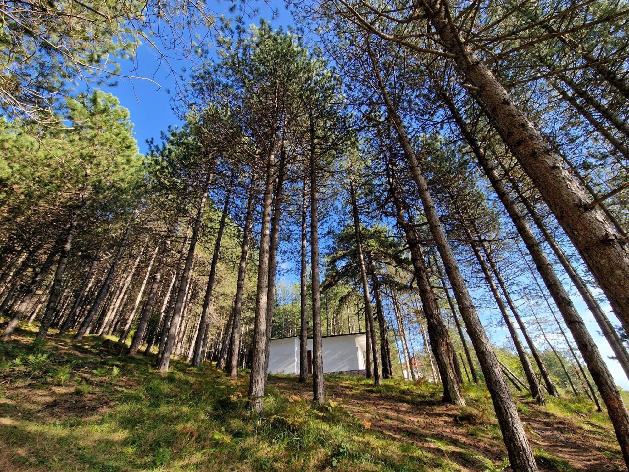 Villa Bujtinat Skenderi Gjinar 2 Zimmer foto